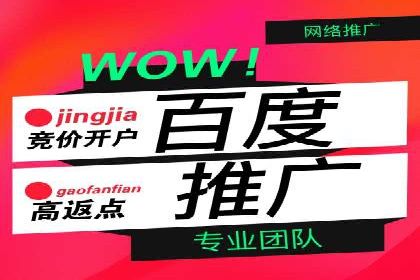 百度竞价广告：实战案例助力企业营销升级